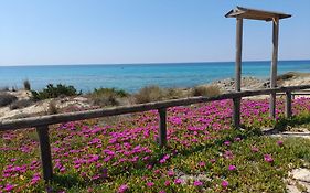 Home Salento 2